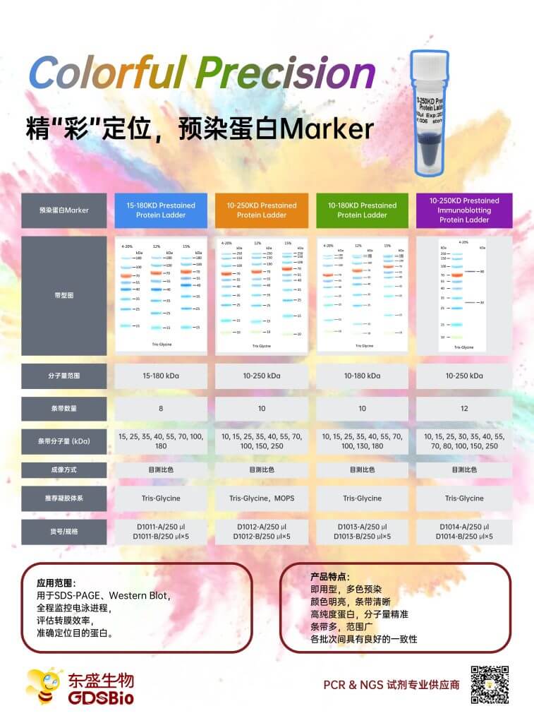 精 “彩” 定位：蛋白 Marker 助力蛋白质研究